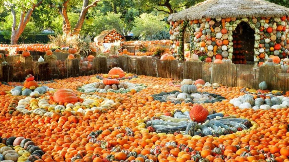 Seven can’t-miss fall events in Dallas-Fort Worth