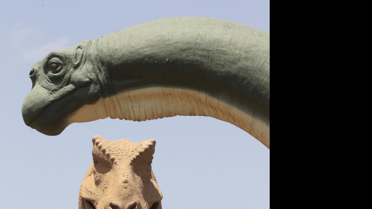 
Life size fiberglass replicas of a Apatosaurus (formerly known as Brontosaurus), top, and a Tyrannosaurus rex greet visitors to Dinosaur Valley State Park near Glen Rose, Texas 
