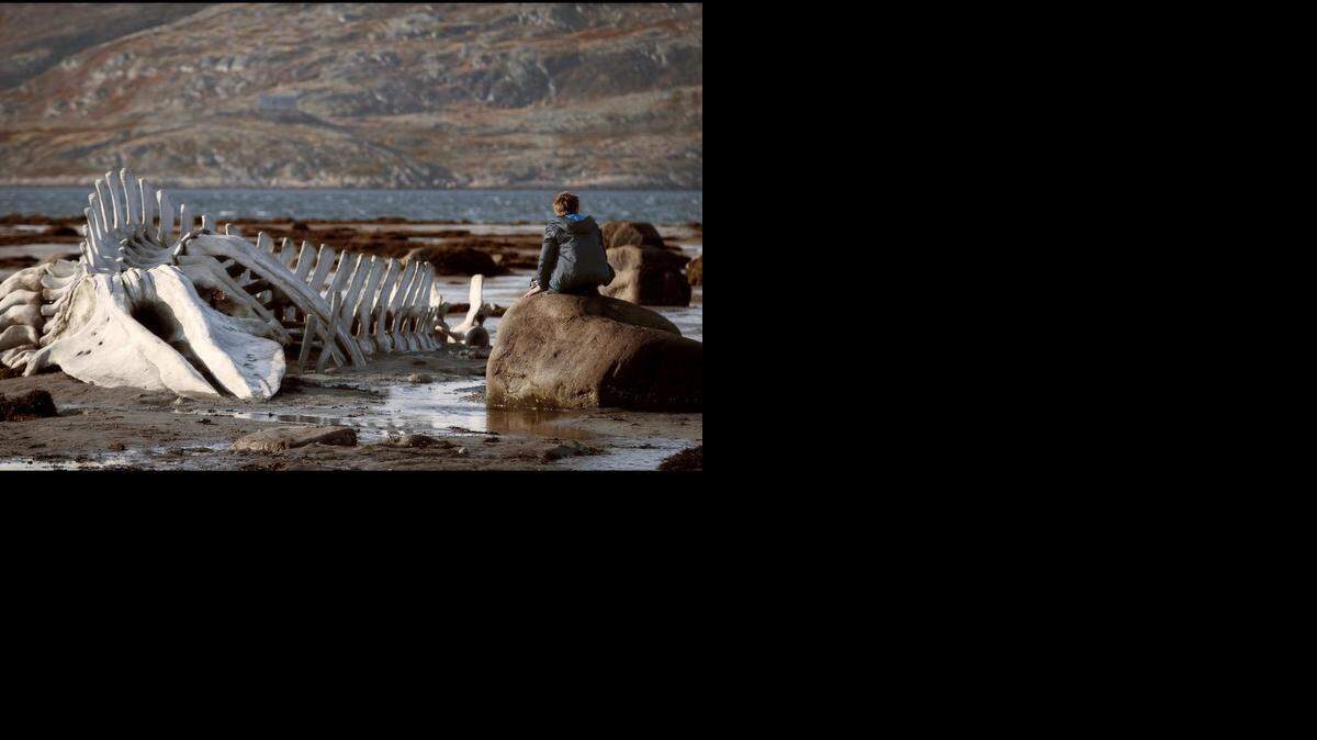 
The film ‘Leviathan’
