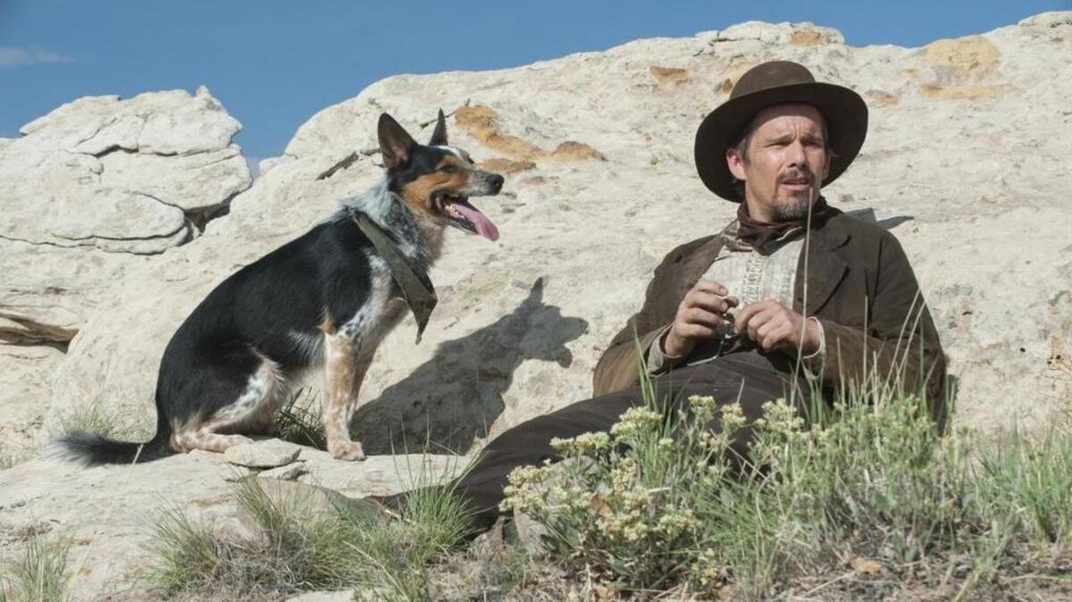 Ethan Hawke and Abby play a lone gunman and his trusty pal in ‘In a Valley of Violence’