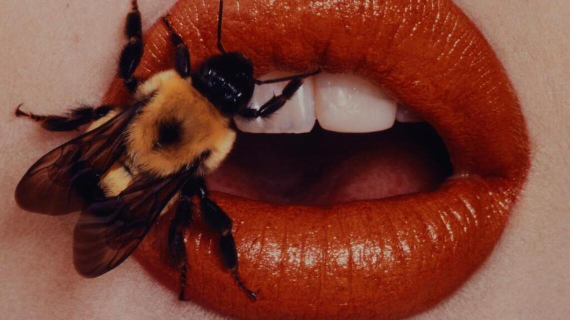 DMA’s Irving Penn retrospective covers high fashion to trash