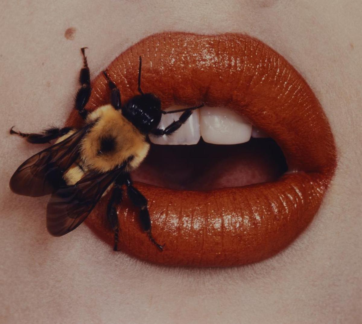 “Bee” (1995) by Irving Penn