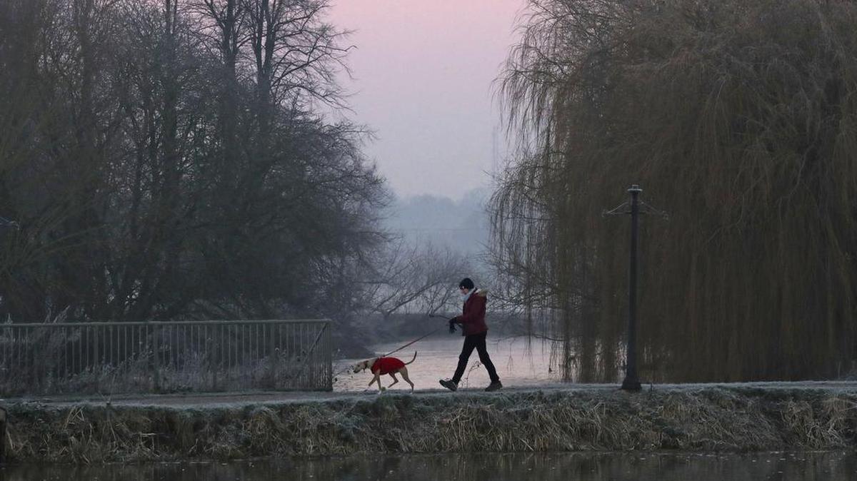 Special tags, vests and leashes can help dog walkers be seen in low visibility areas.