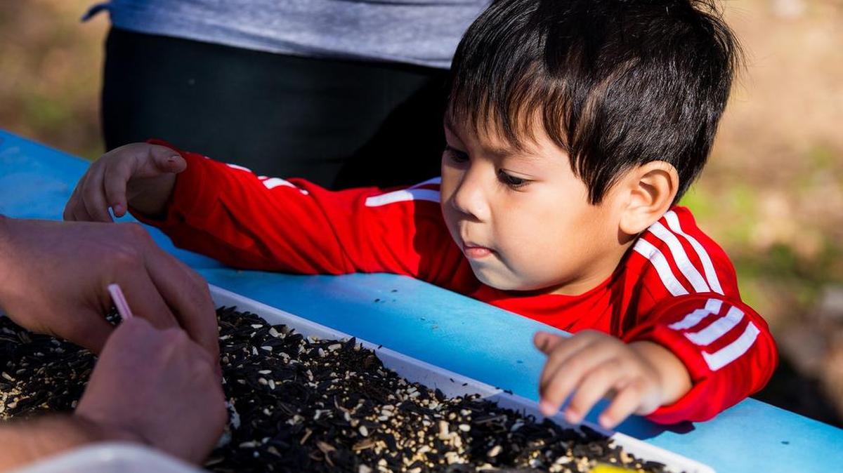 Kids can learn about birds and birding Saturday at River Legacy Parks in Arlington.