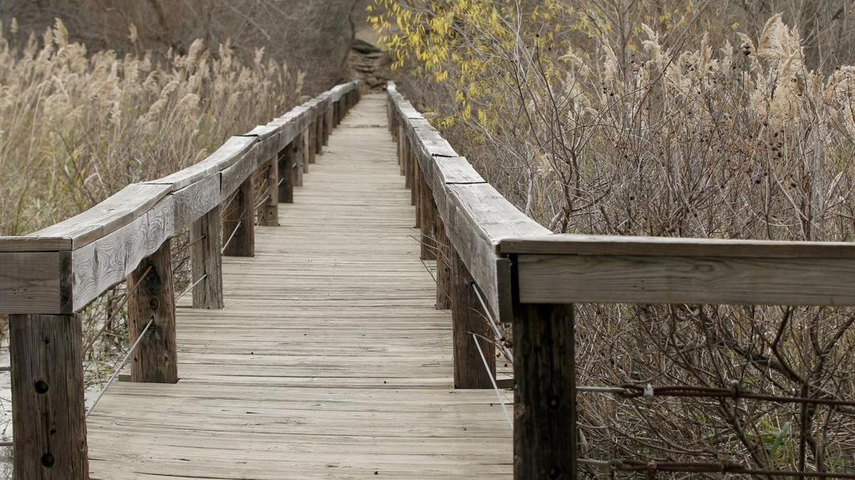 Check out the fall landscape at the Fort Worth Nature Center and Refuge during a hike this weekend.
