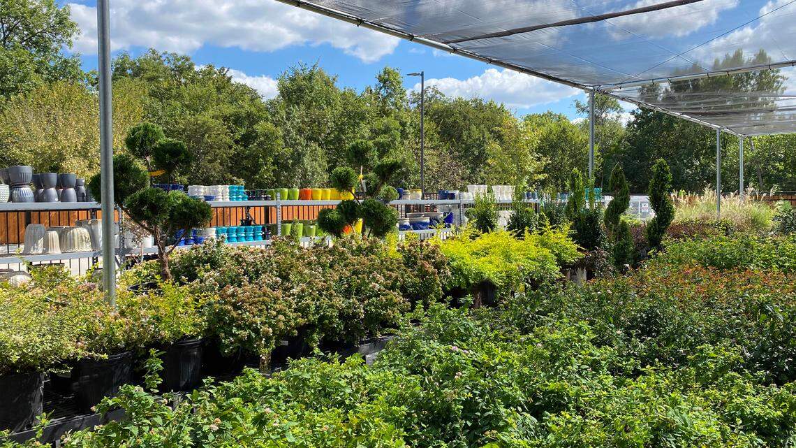 Finding the best plants at a nursery may require reliable help from employees who work there.