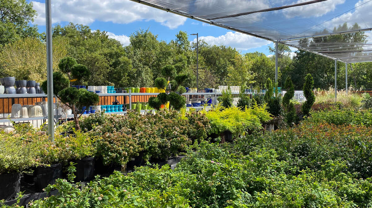 Finding the best plants at a nursery may require reliable help from employees who work there.