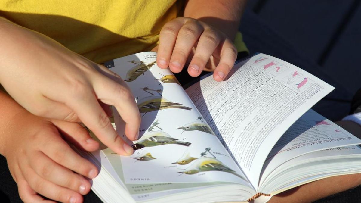 Area nature preserves offer opportunities for bird watching this weekend.