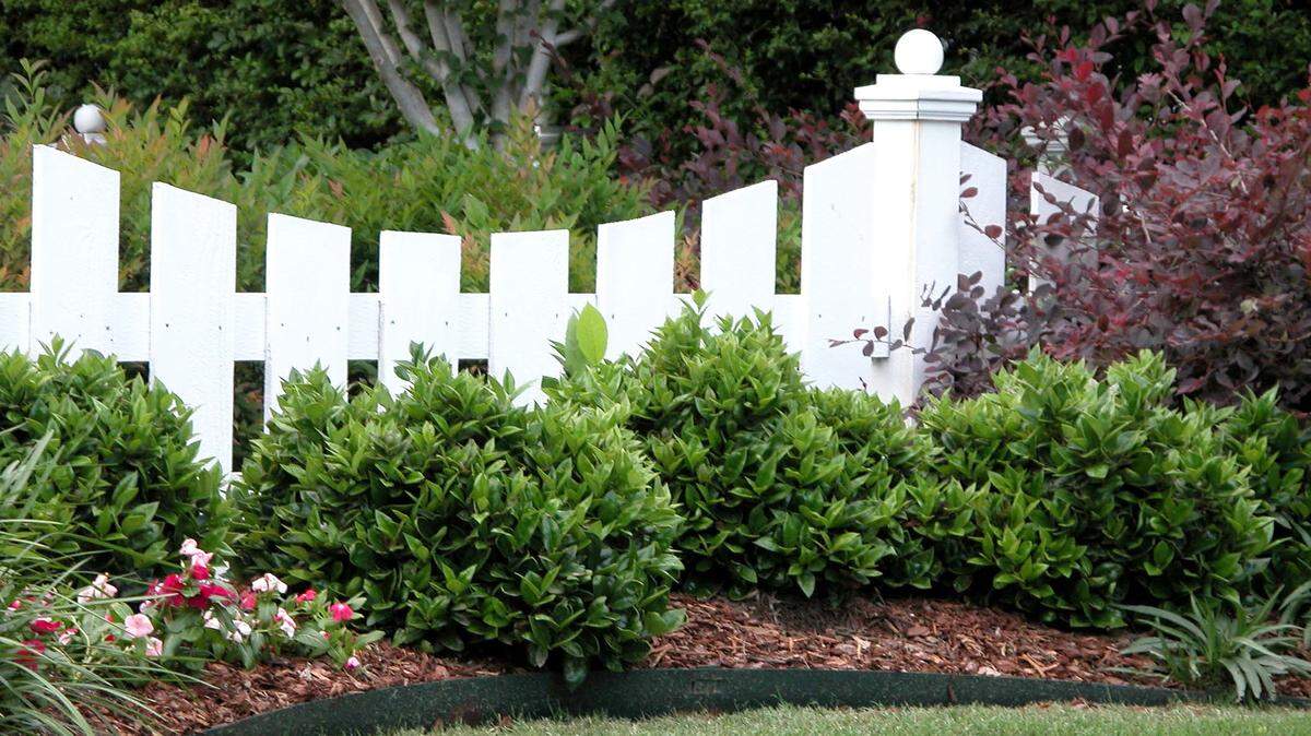 Curved bed and appropriately sized shrubs make a nice landscape.