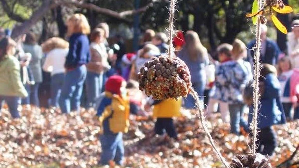 The Birds’ Christmas Tree, 11 a.m. Dec. 5, is a long-time tradition at the Fort Worth Botanic Garden.