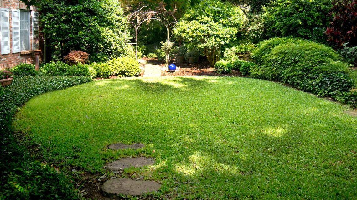 St. Augustine should green up once things warm up.