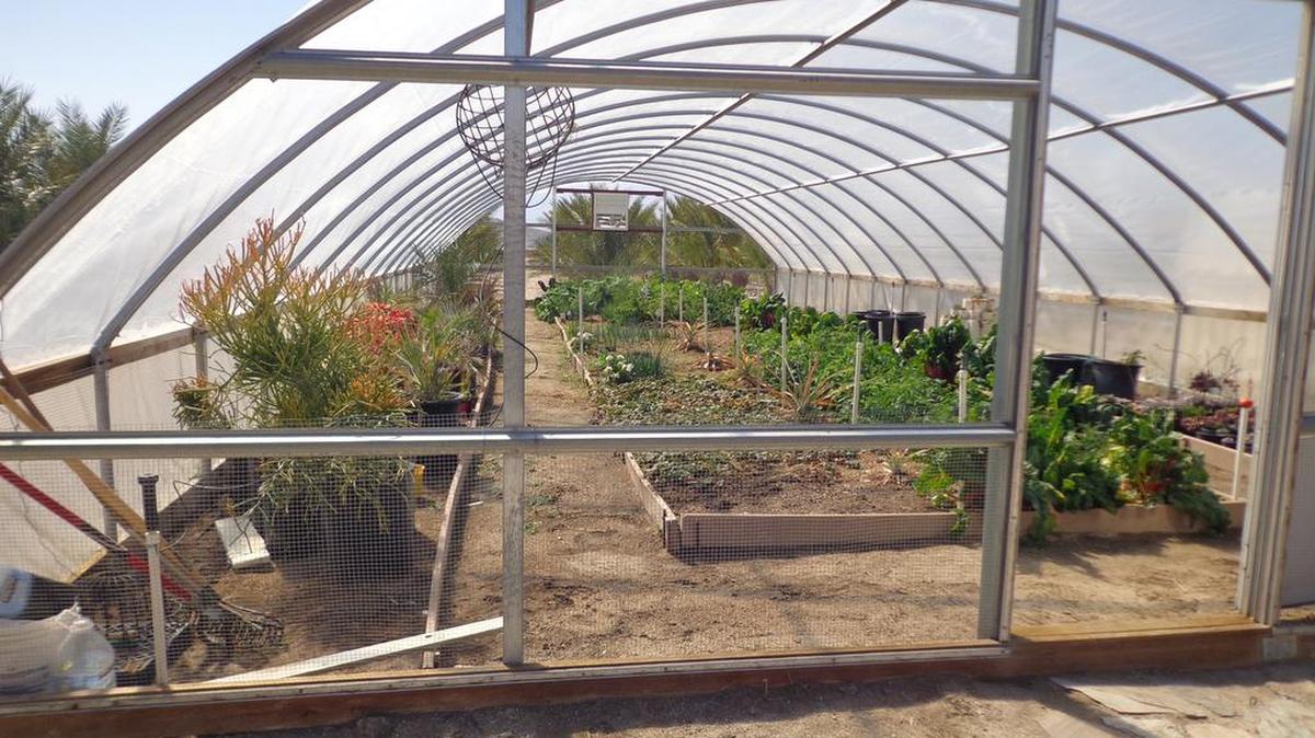 This large home greenhouse allows year around food cultivation.