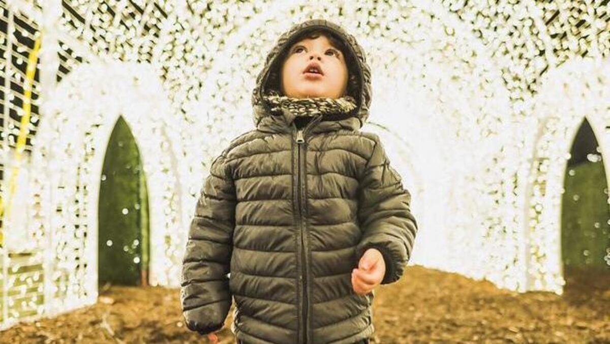 A lighted wonderland awaits at Enchant, a new holiday attraction in Arlington.