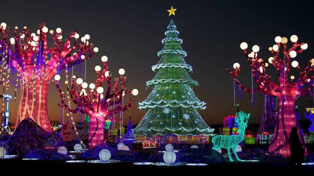 Magical Winters Lights takes place Nov. 17-Jan. 7 at Lone Star Park in Grand Prairie.