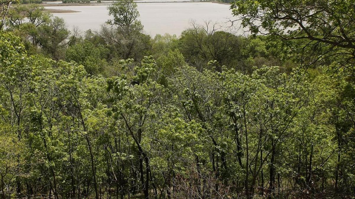 Parts of Lake Worth can be seen from the trails of the Fort Worth Nature Center and Refuge.