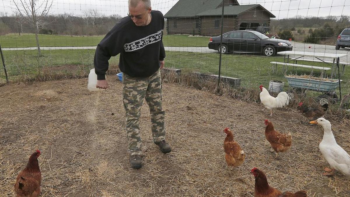 Get the scoop on raising backyard chickens during a seminar and coop tour Saturday.