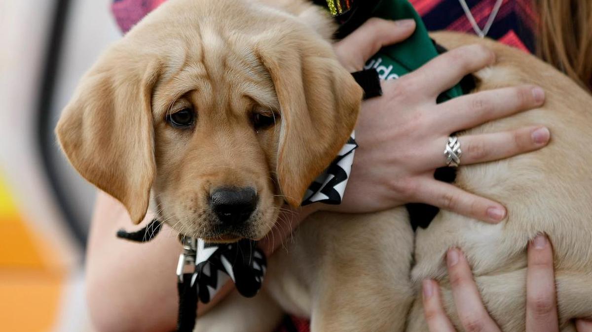 It’s better to give gift recipients the chance to choose their new pet, rather than pick one out for them.