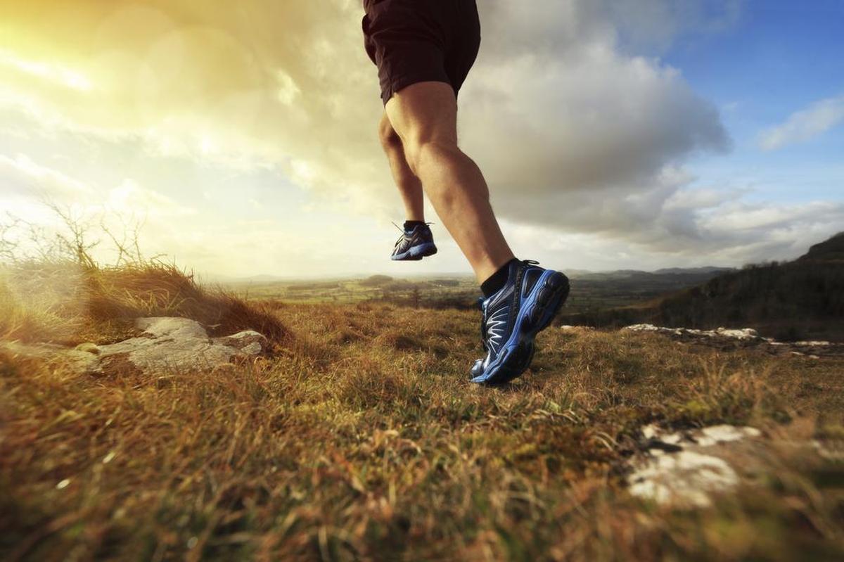 Try Bald Knob Ridge Trail for a lengthier trek,