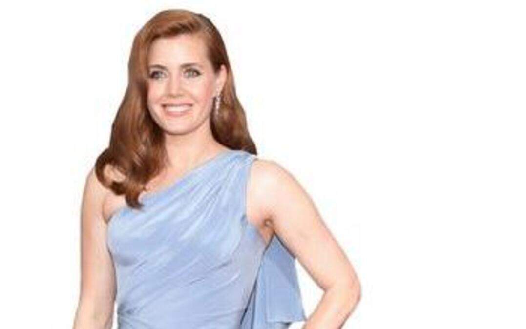 
Amy Adams 
