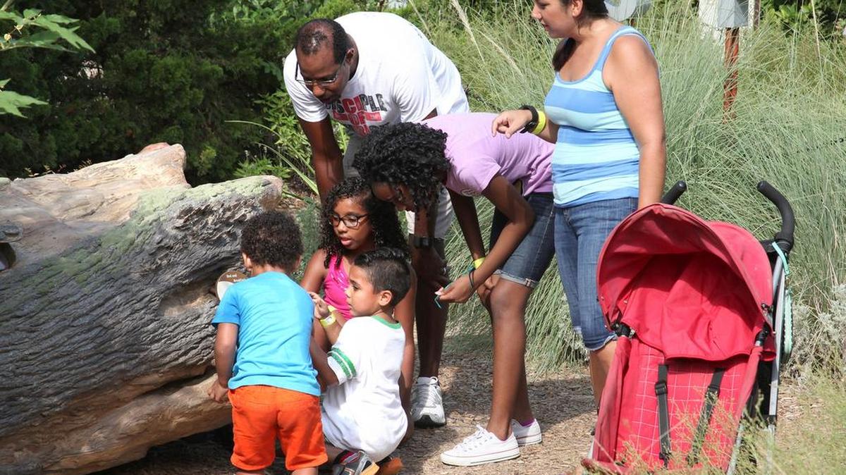 The Dallas Arboretum will have special Father’s Day weekend events.