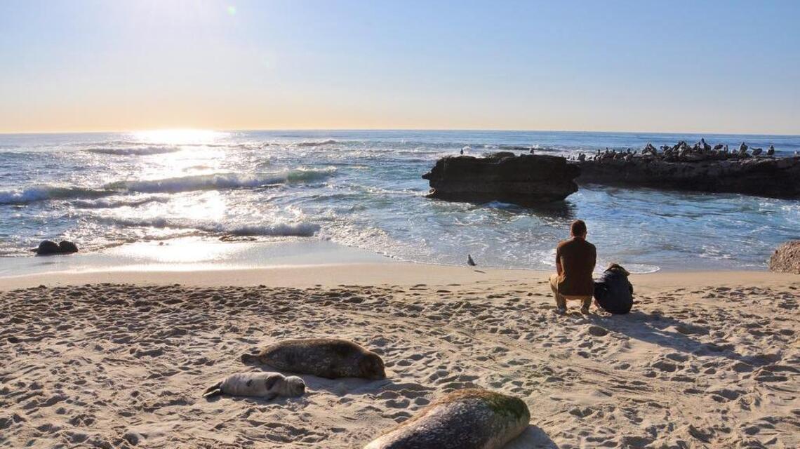 Kids can stay, play and eat for free in San Diego