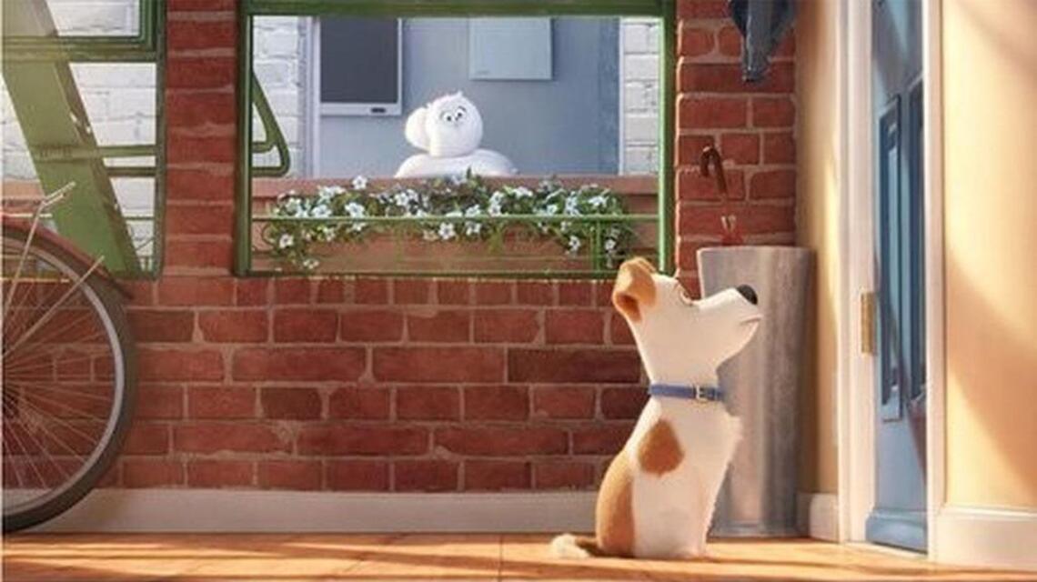 ‘The Secret Life of Pets’ has animal magnetism