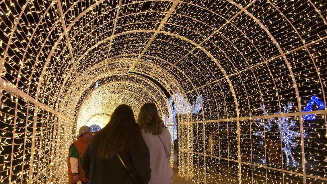 First look at Enchant Christmas in Arlington