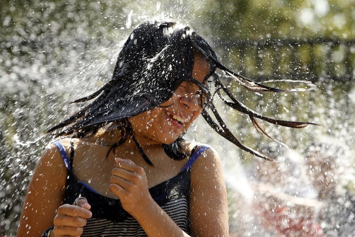  Sycamore Spray Ground in Arlington.