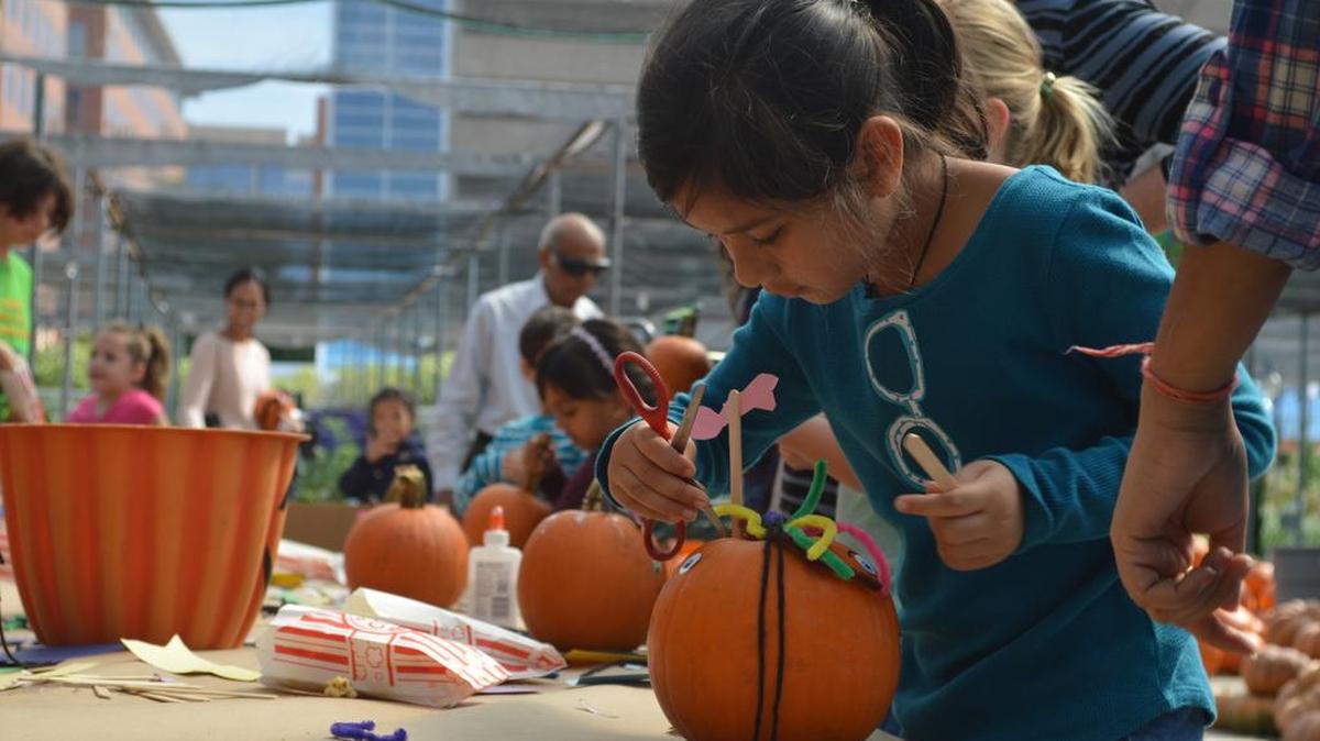 Calloway’s Nursery offers a free fall event that includes pumpkin decorating.