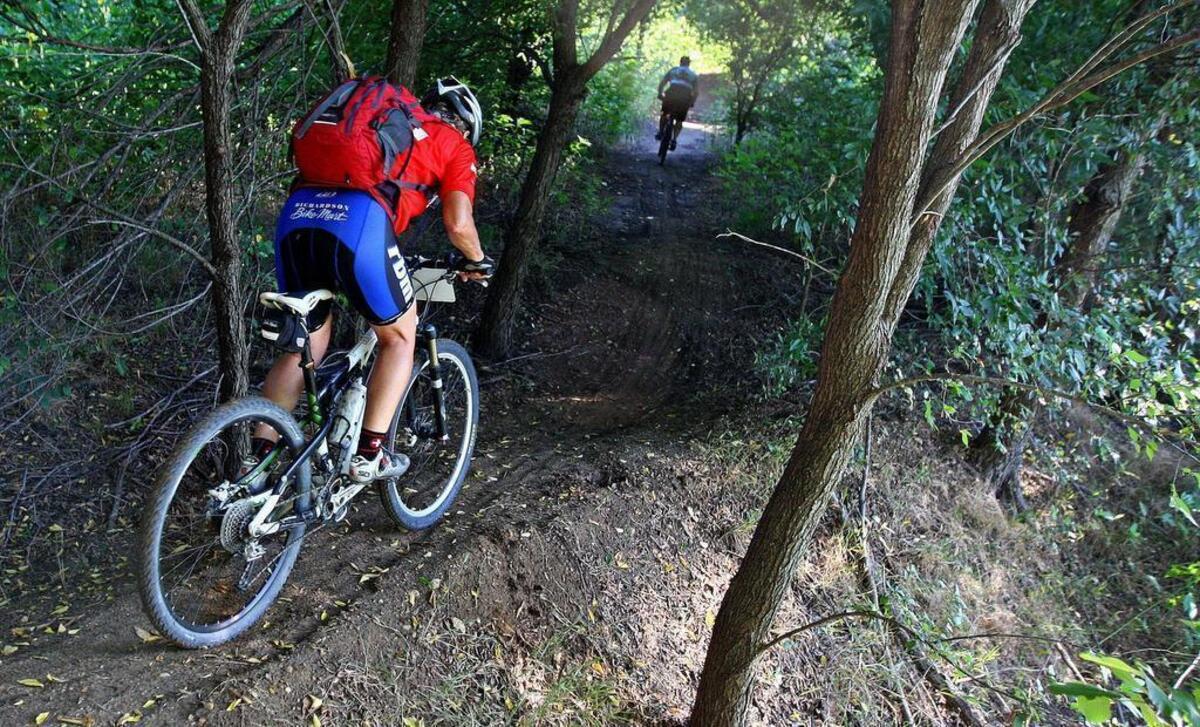 Families can hike the trails at River Legacy Park in Arlington.