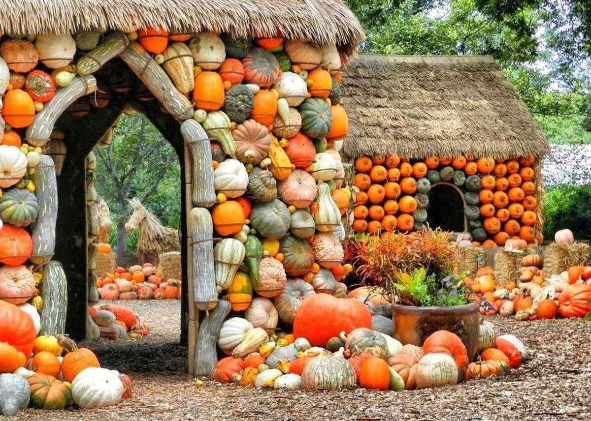 Get your fall family photo at the Dallas Arboretum.