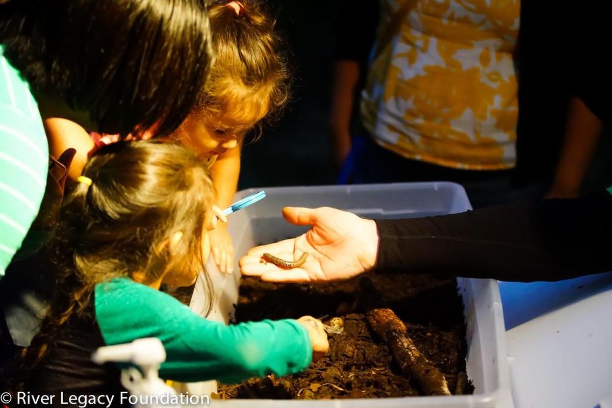 After Dark in the Park lets little ones encounter live critters.
