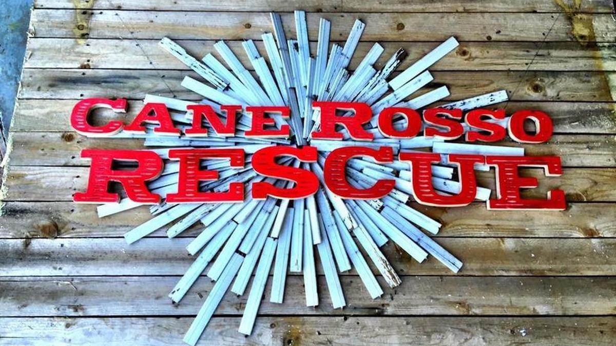 Cane Rosso Rescue Center opens Monday in Carrollton.