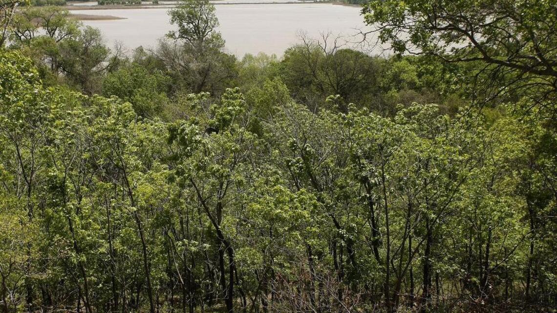 Go green! Nature-friendly places to go this weekend in DFW