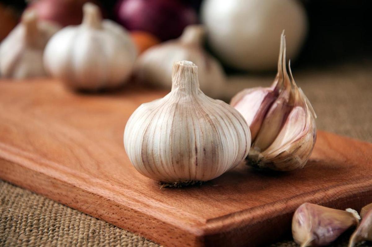 Washington State Garlic Festival is coming Aug. 22-24.