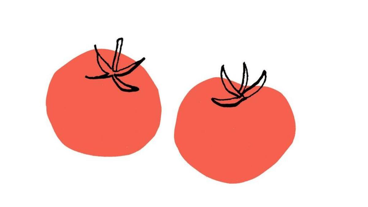 Tomatoes can be companion-planted with eggplants, peppers, basil and parsley.