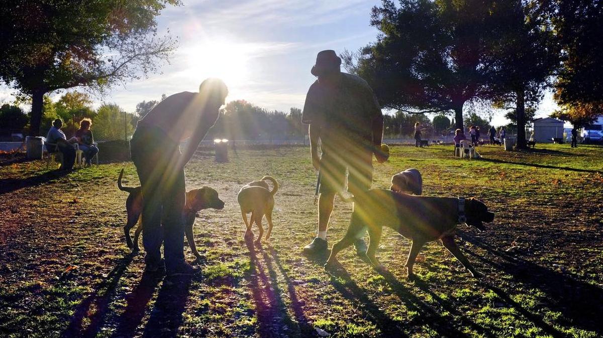 When traveling with pets, take a lot of breaks along the way.