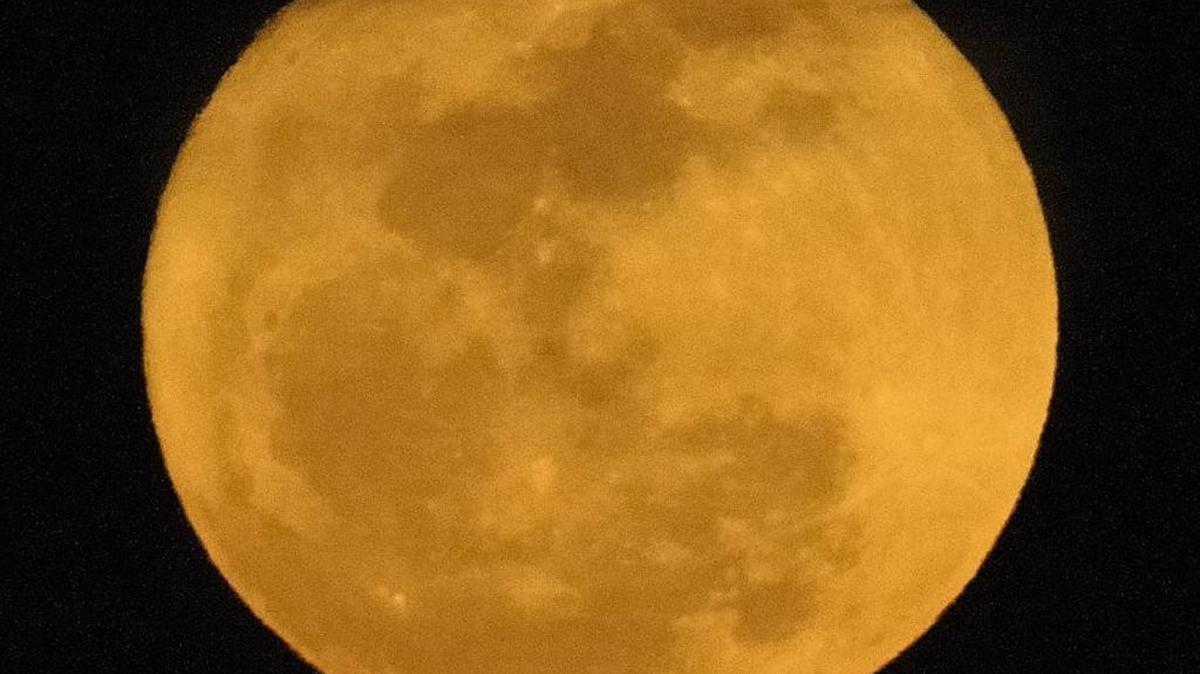 Take in night sounds and the full moon on a canoe trip at the Fort Worth Nature Center and Refuge this weekend.