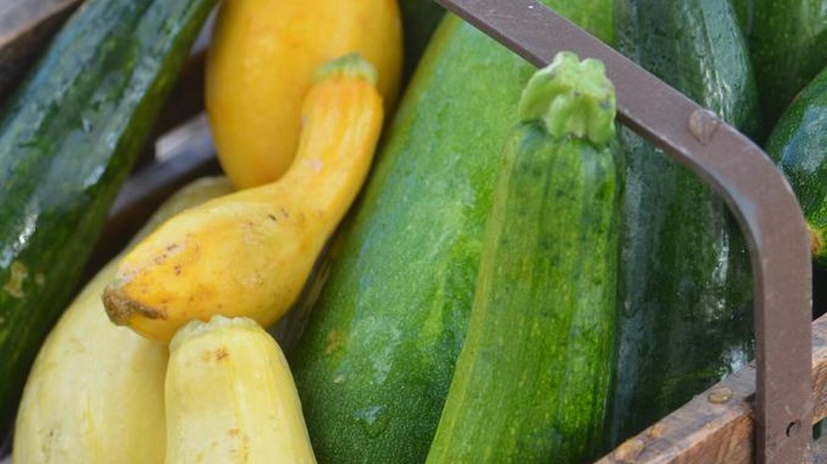 Summer squash has softer skin than winter squash.