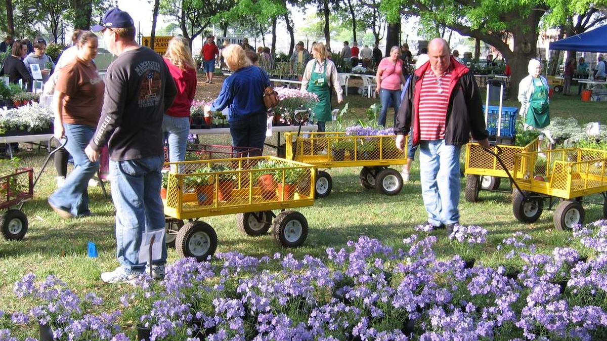 In this file photo, shoppers peruse the grounds at the Spring Plant Sale at Fort Worth Botanic Garden. This year’s sale is scheduled for April 8-9, plus an exclusive pre-sale event for members on April 7. The spring plant sale at the Fort Worth Botanic Garden is a popular annual event in Fort Worth. It’s April 8.
