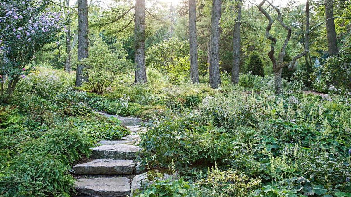 Now, rather than devoting her free time to weeding and mowing, Amy Jedlicka spends her hours walking her garden’s paths and enjoying the ever-changing, always surprising landscape.