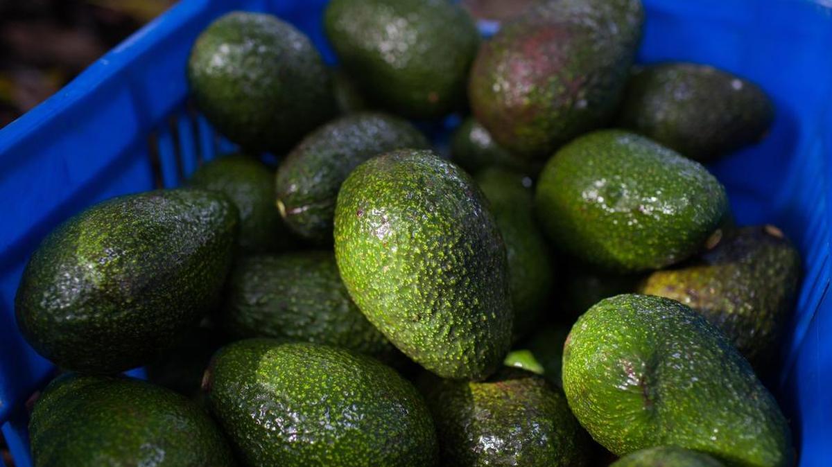 The Fair Trade Certified label signifies that rigorous standards have been met in food production.