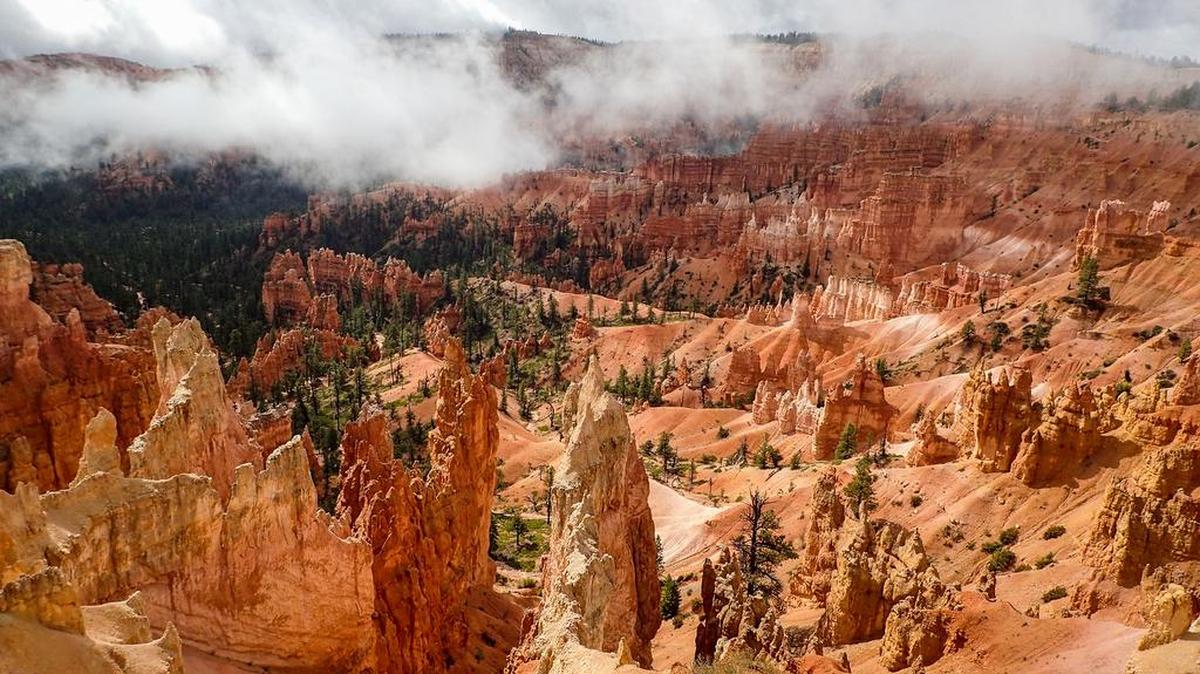 Early-morning fog makes Bryce Canyon’s rock formations — called “hoodoos” — look even more fascinating.