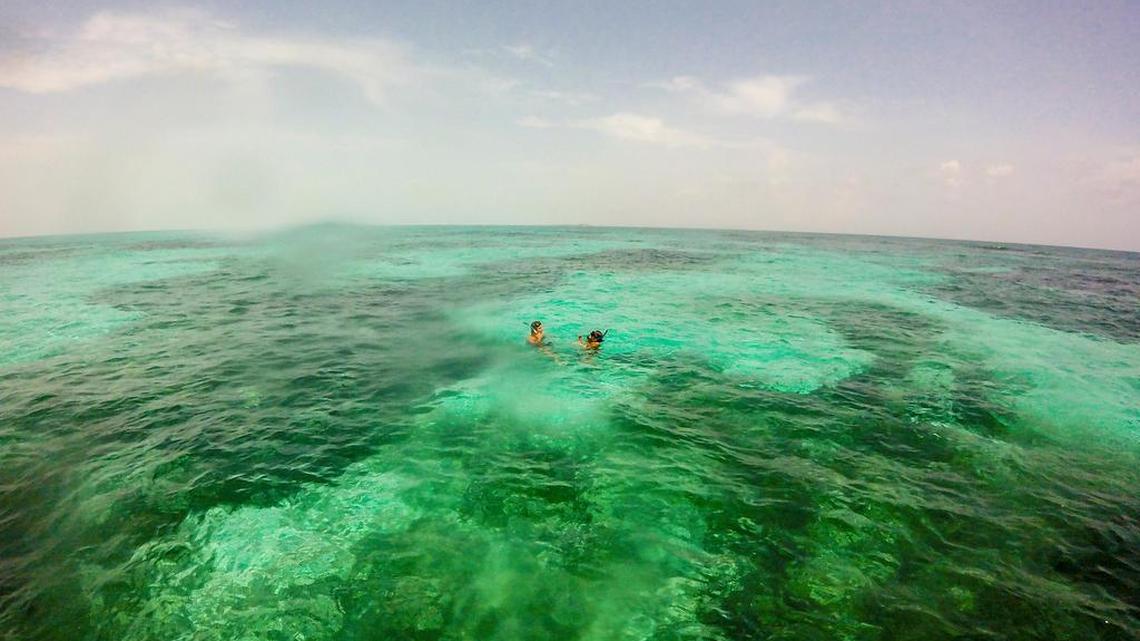 Besides whale shark sightings from May through September, the turquoise waters off Isla Holbox, Mexico, offer colorful snorkeling.