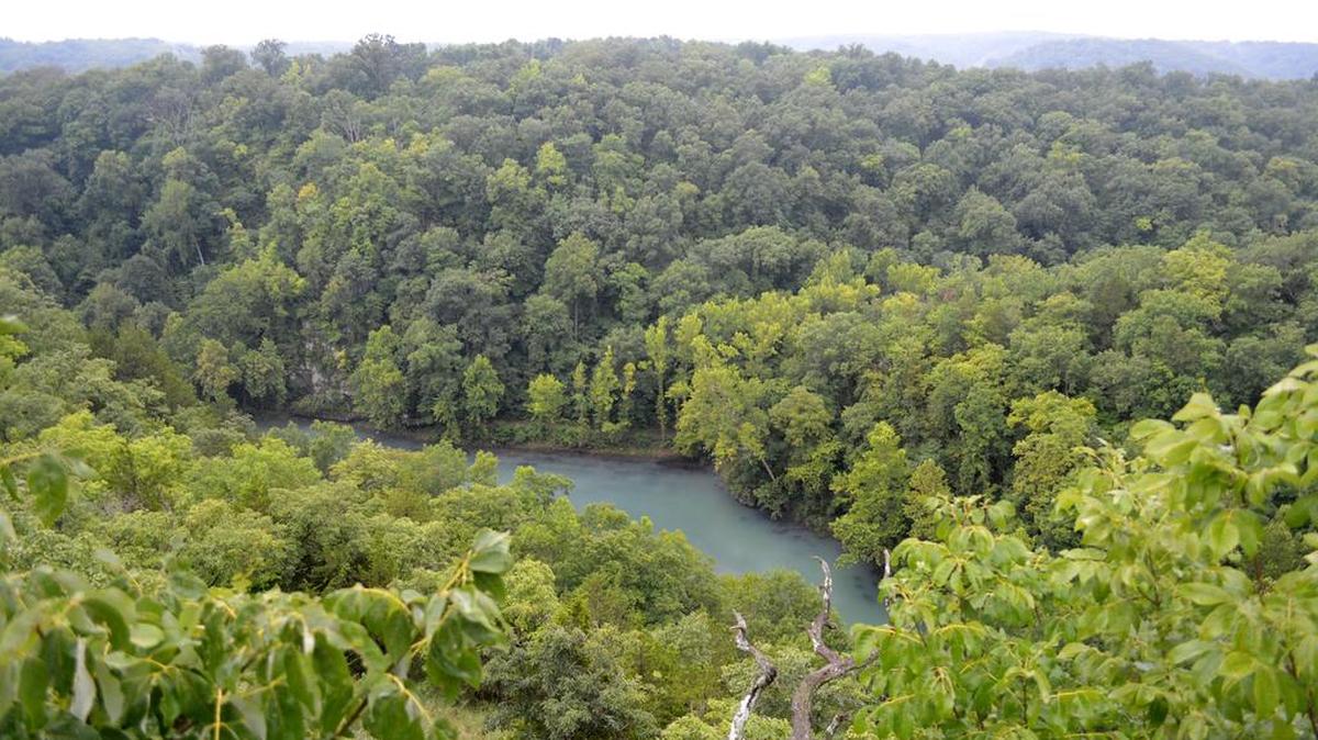 
The view from above tree level: Looking down on Lake of the Ozarks from a bluff in Ha Ha Tonka State Park. 
