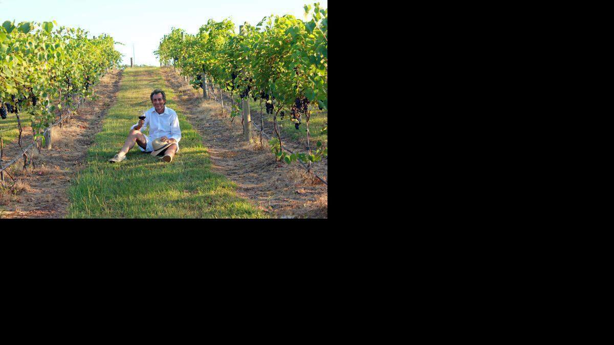 From the vineyard he planted about four years ago, Simon Webster, owner of Sabor a Pasion, is beginning to produce his own wines.<252><137>Chef Simon Webster. Credit: Photo <137><137><252><137>