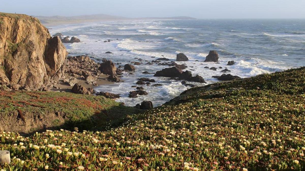 Sea and shoreline combine in splendor in Sonoma Coast State Park along California Highway 1 between Bodega Bay and Jenner.