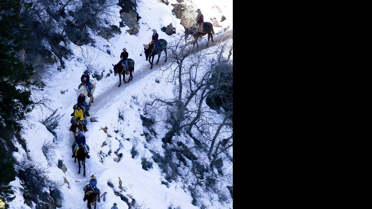 
A guide and riders head down the Bright Angel Trail.
