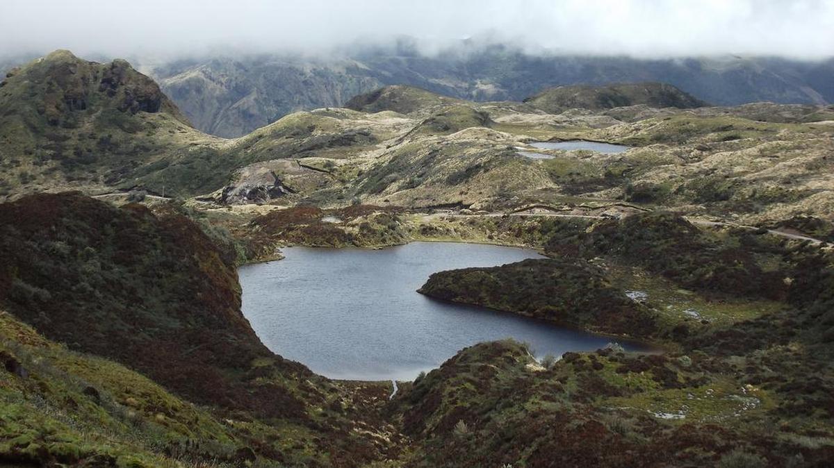 View of the Andes Highlands "paramo" with its lagoons and misty landscapes.