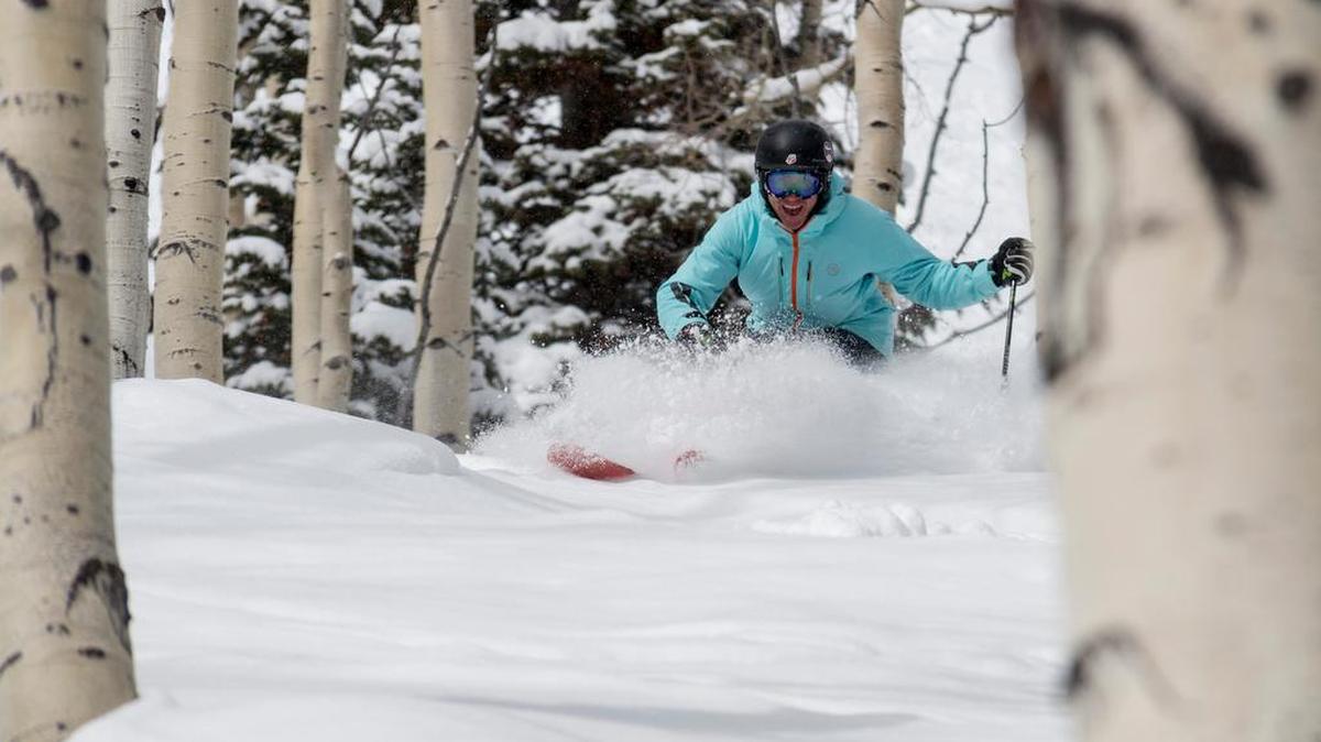 A skier makes his way down a snowy slope through the trees in Deer Valley, where powder stashes in the trees are about as good as they get.